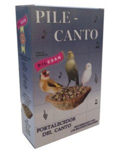 Pile canto