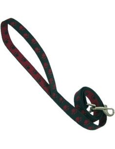 Correa roja 2cmx120cm