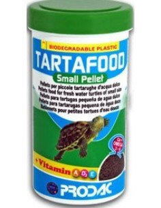 Comida tortugas pequeñas