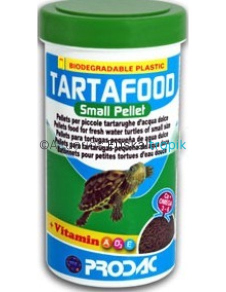 Comida tortugas pequeñas