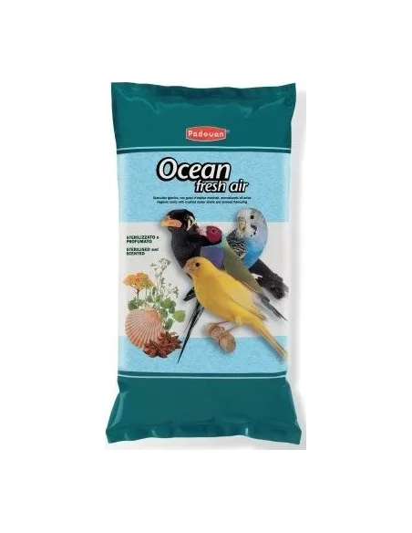 Arena absorvente de anís