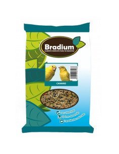Comida canarios bradium