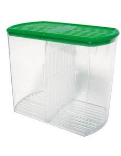 Betta box transporte