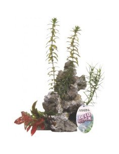 Ornamento deco rock con plantas marina