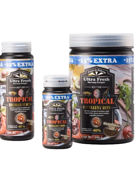 Tropical Excellent Bits