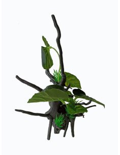 Tronco con planta S3