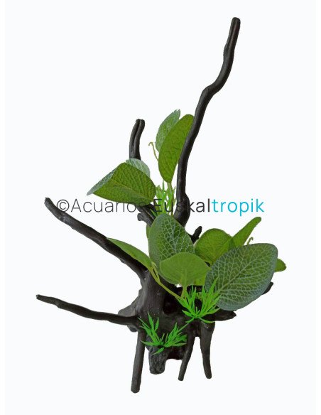 Tronco con planta S1