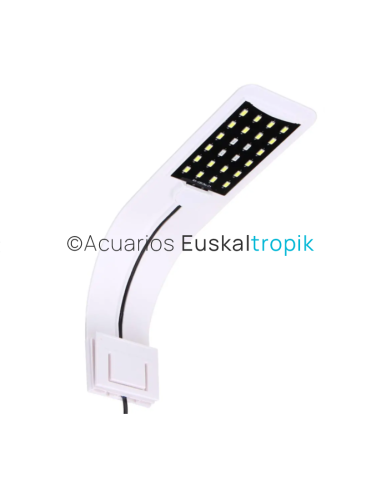 Led 10W