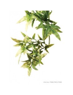 Plantas plástica colgante Croton