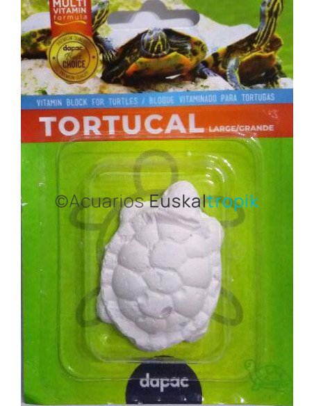 Calcio tortugas dapac