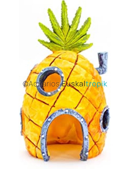 Casa Bob Esponja
