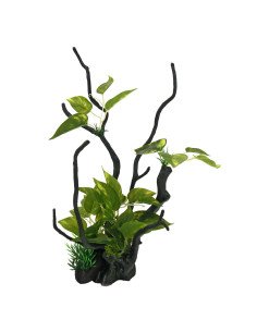 Tronco con plantas L2 35.