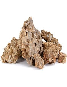Piedra Dragón