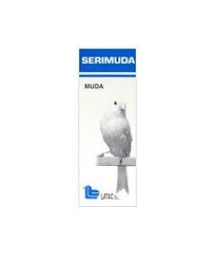 Serimuda Muda