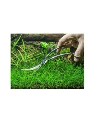 Tijera acero ondulada 25cm