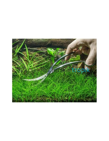 Tijera acero ondulada 25cm