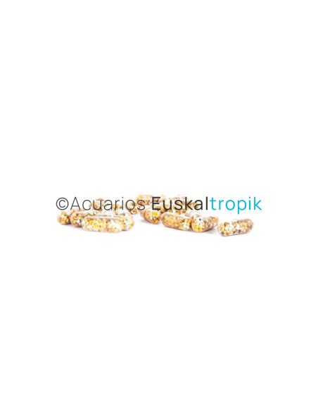 Nutrition Capsules abono en capsulas