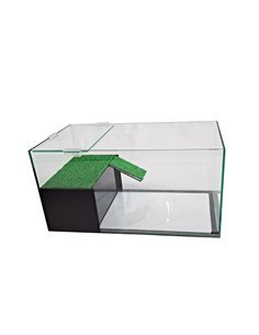 Kit tortuguera cristal 2