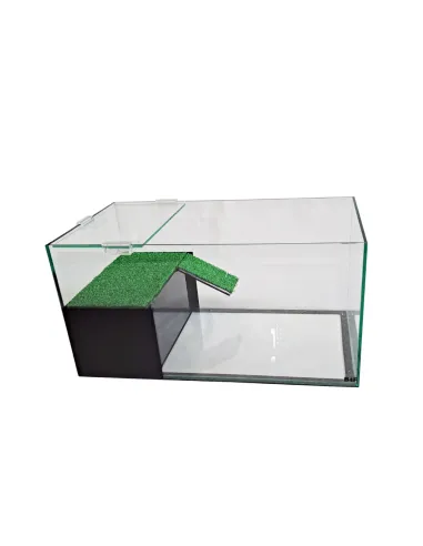 Kit tortuguera cristal