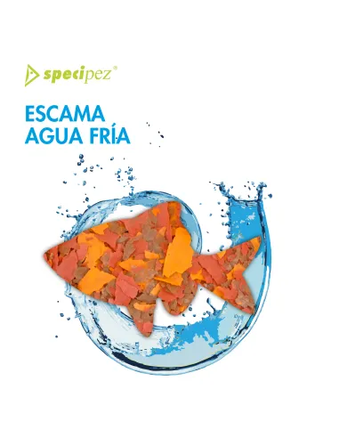 Comida agua fría escama