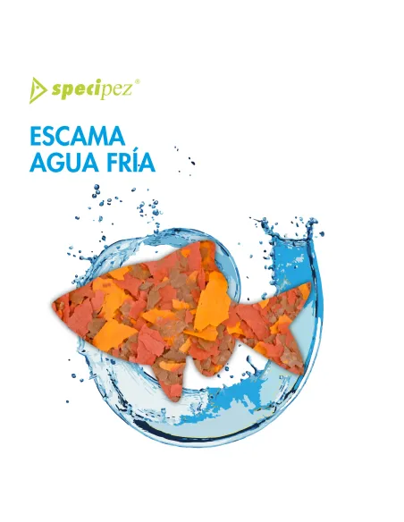 Comida agua fría escama
