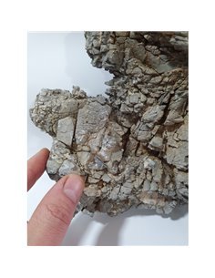 Piedra Amelia 2