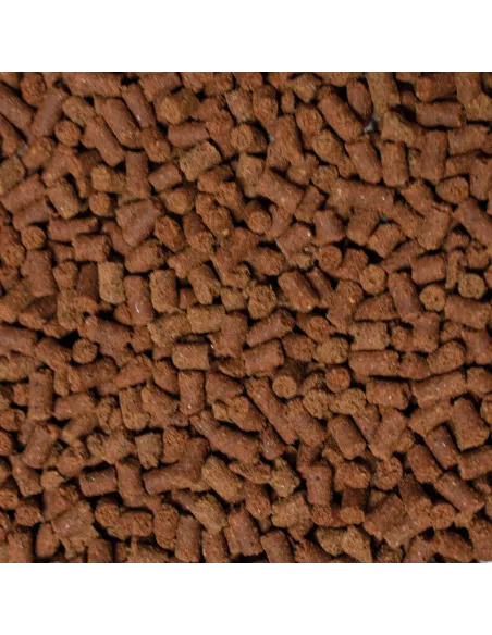 Alimento Ajolotes 250ml-150gr