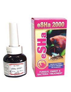 eSHa 2000