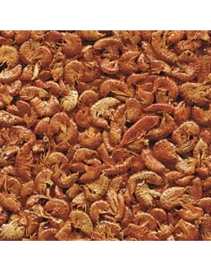 Alimento GAMMARUS 2