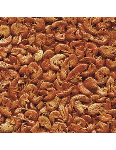 Alimento GAMMARUS