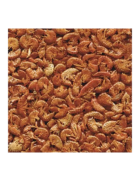 Alimento GAMMARUS