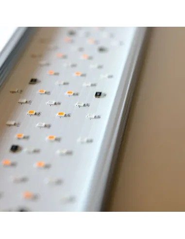 Luz led Twinstar IV 900EA