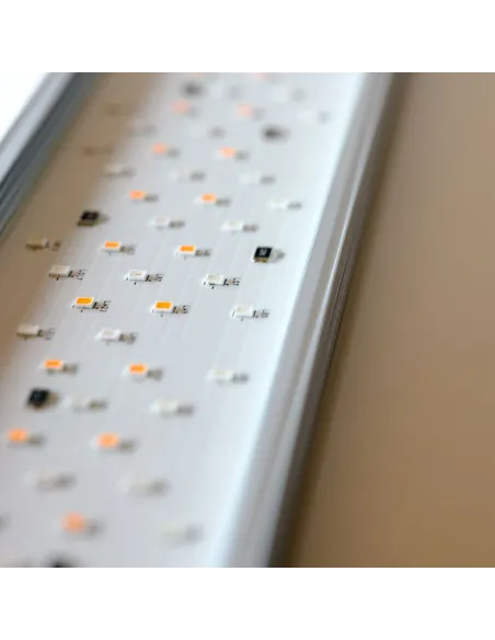 Luz led Twinstar IV 900EA