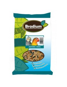Comida agapornis y ninfas bradium