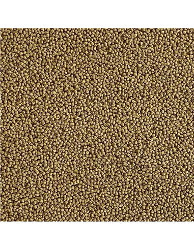 Comida tropical granulado fino Insect SuperFood (0.9 mm) 100ml