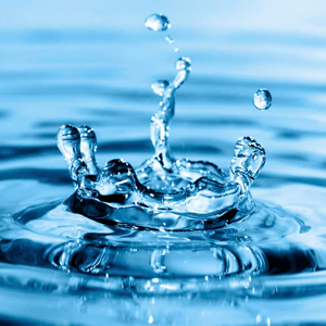 Acondicionar el agua para acuarios