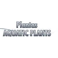 AQUATIC PLANTS