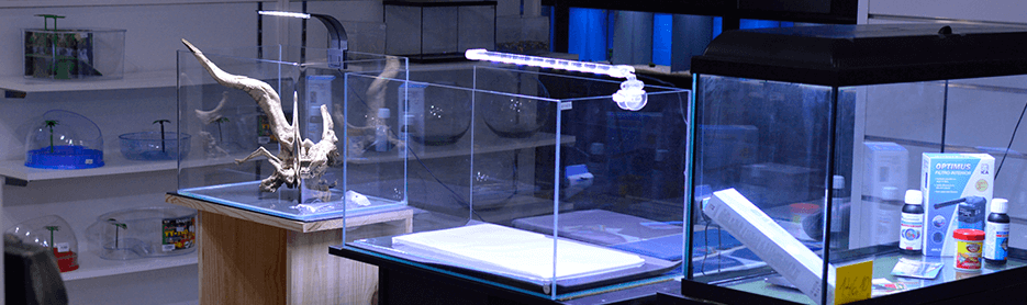 Acuarios baratos, segunda mano, nuevos